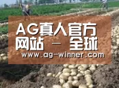 种植基地七(图1)