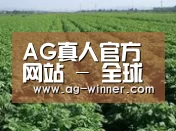 种植基地五