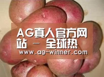 产品展示标题1