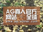 种植基地七