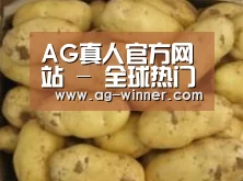 产品展示标题6