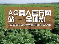 种植基地五(图1)
