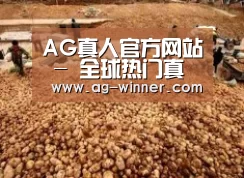 种植基地二