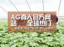 种植基地三