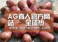 产品展示标题5(图1)