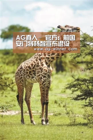 AG百家乐