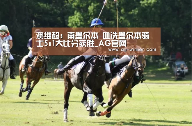 澳维超: 南墨尔本 血洗墨尔本骑士5:1大比分获胜_AG官网(图3) AG百家乐