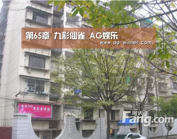 AG娱乐